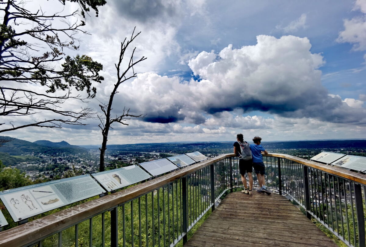 RABENLAY SKYWALK ⭐ Aussichtsplattform Bonn